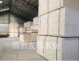 包裝板生蟲應(yīng)該怎么辦？